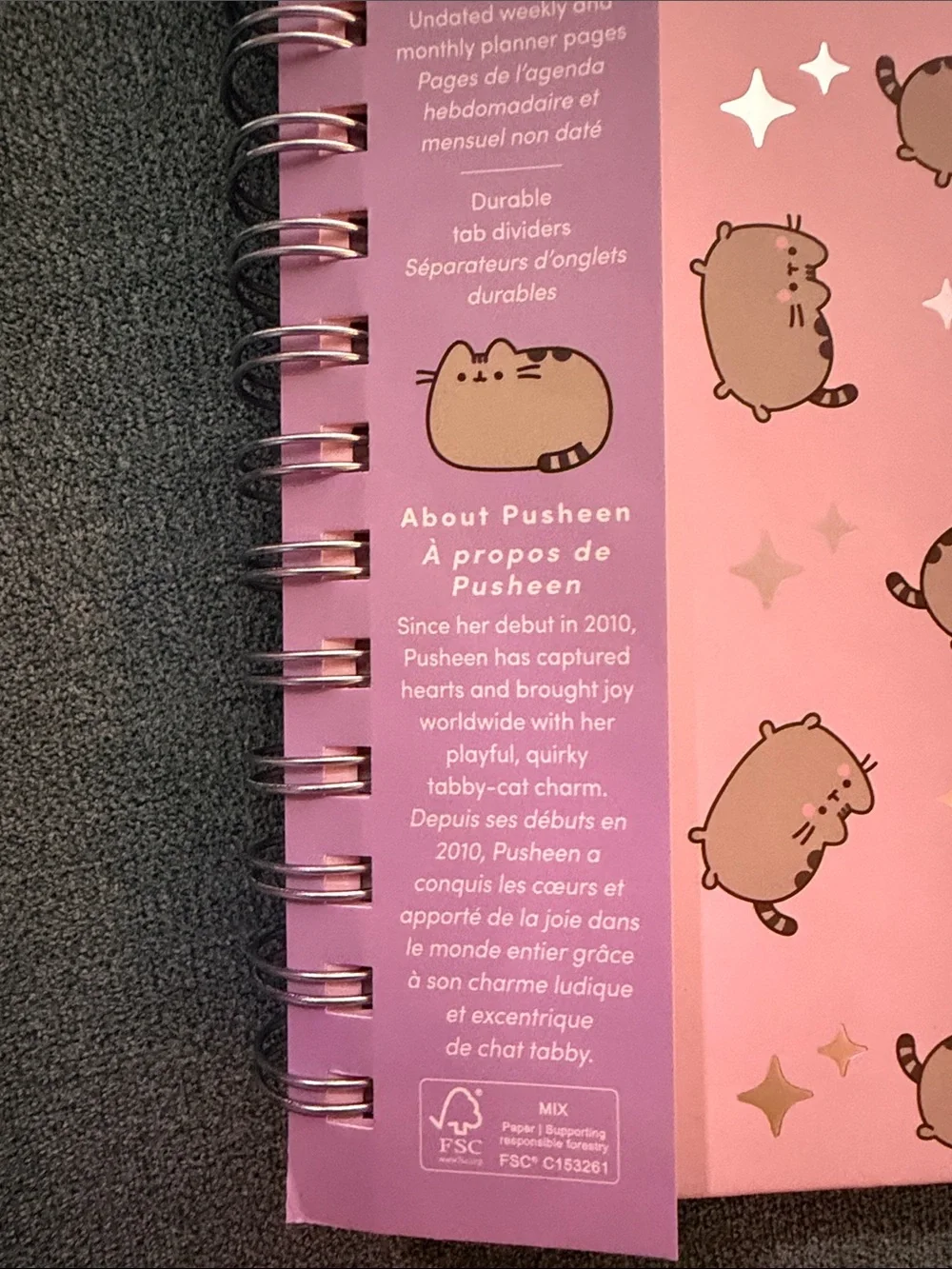 Pusheen adorable cat